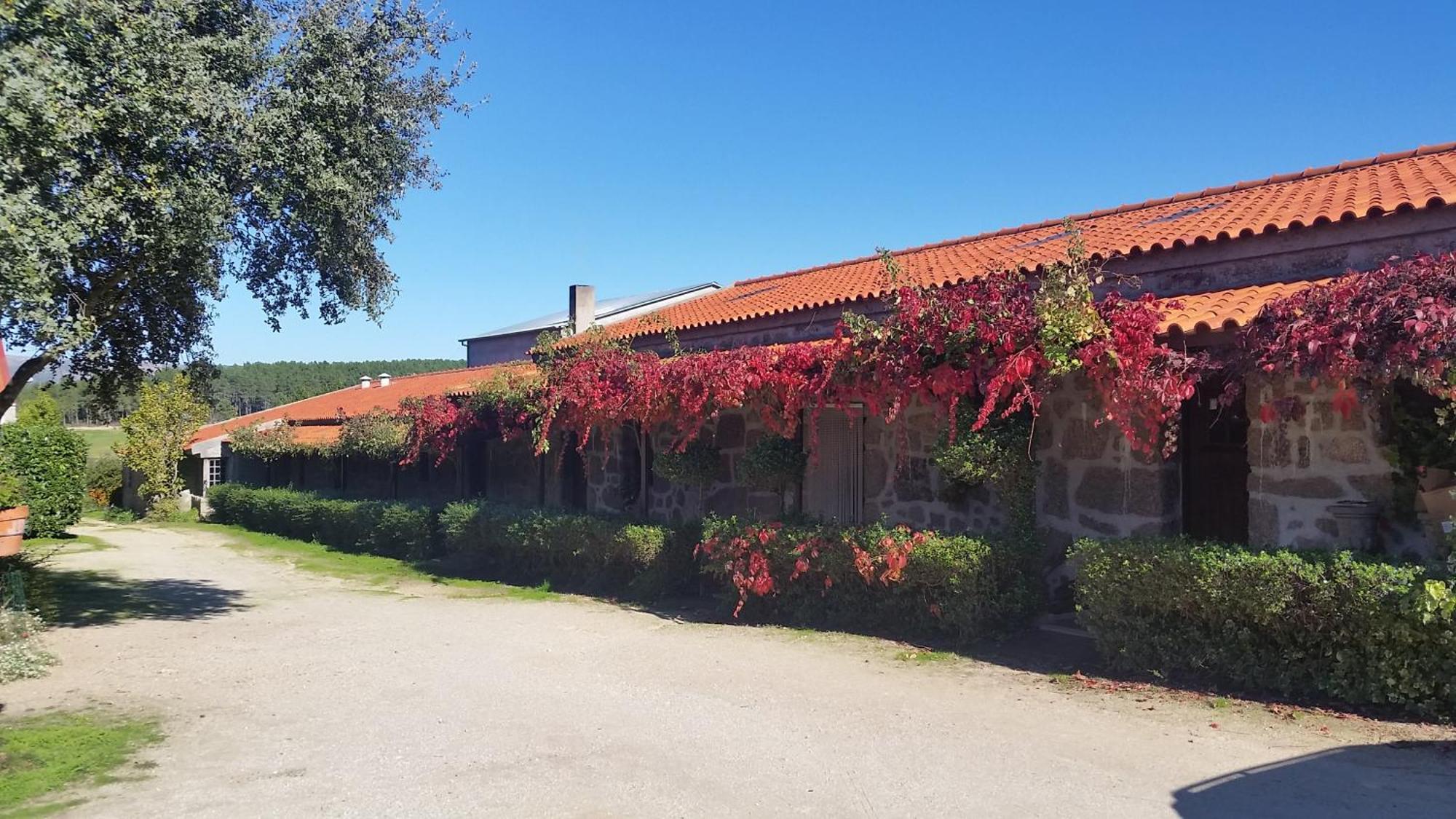Turismo Rural 4Quintas Minhocal Exterior photo