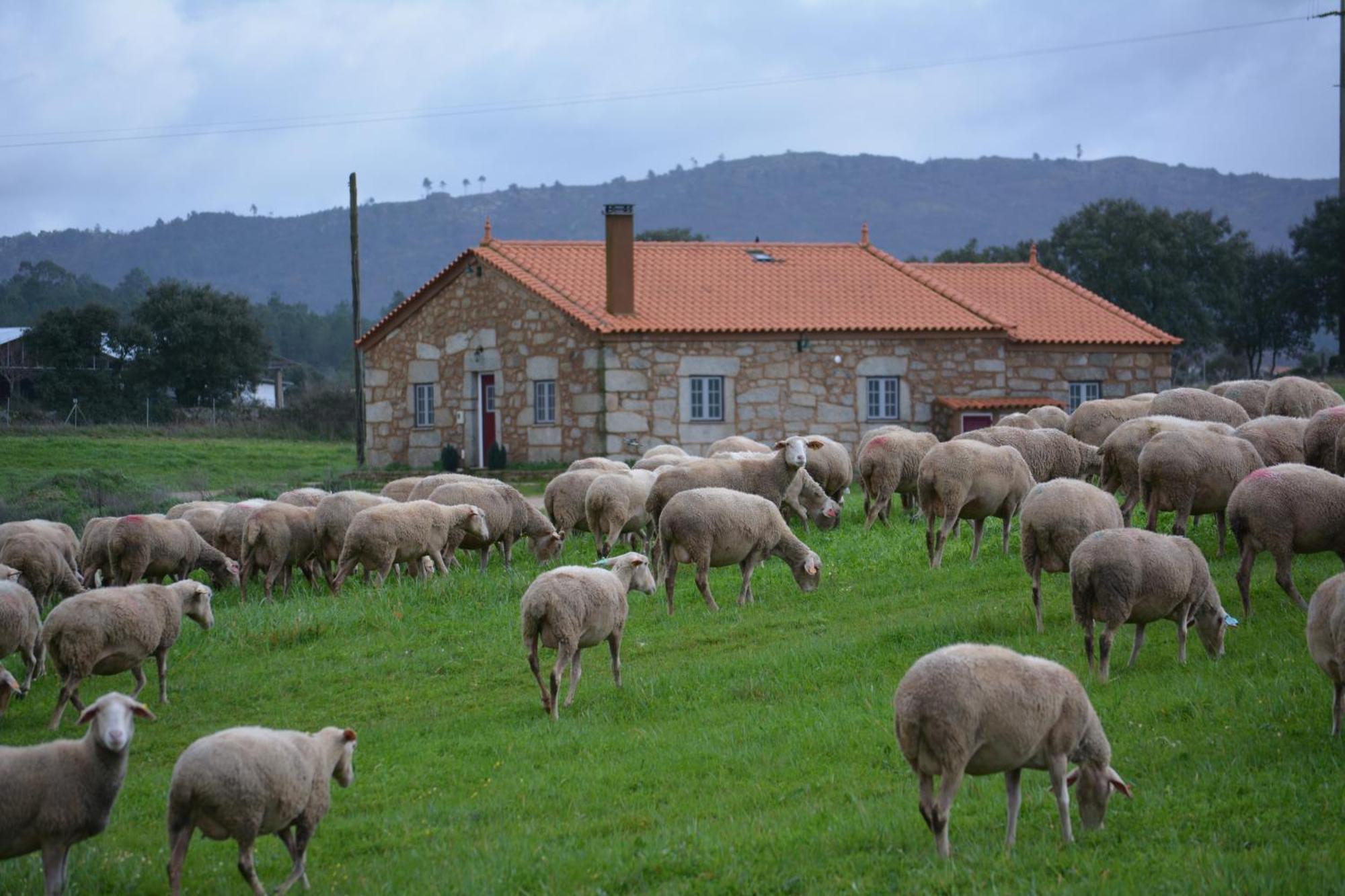 Turismo Rural 4Quintas Minhocal Exterior photo