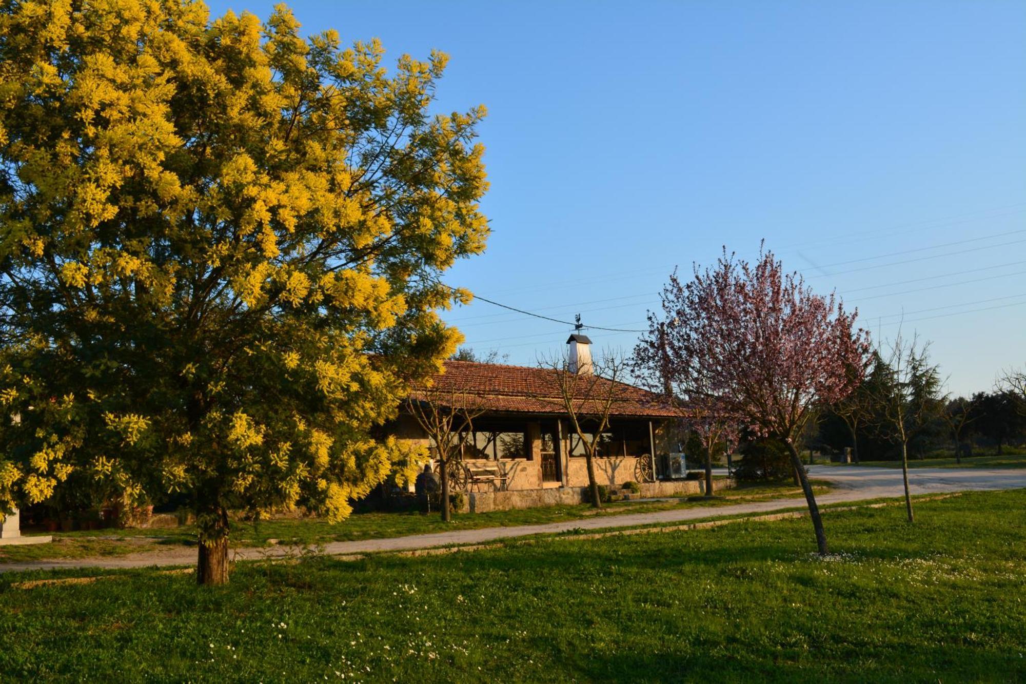 Turismo Rural 4Quintas Minhocal Exterior photo